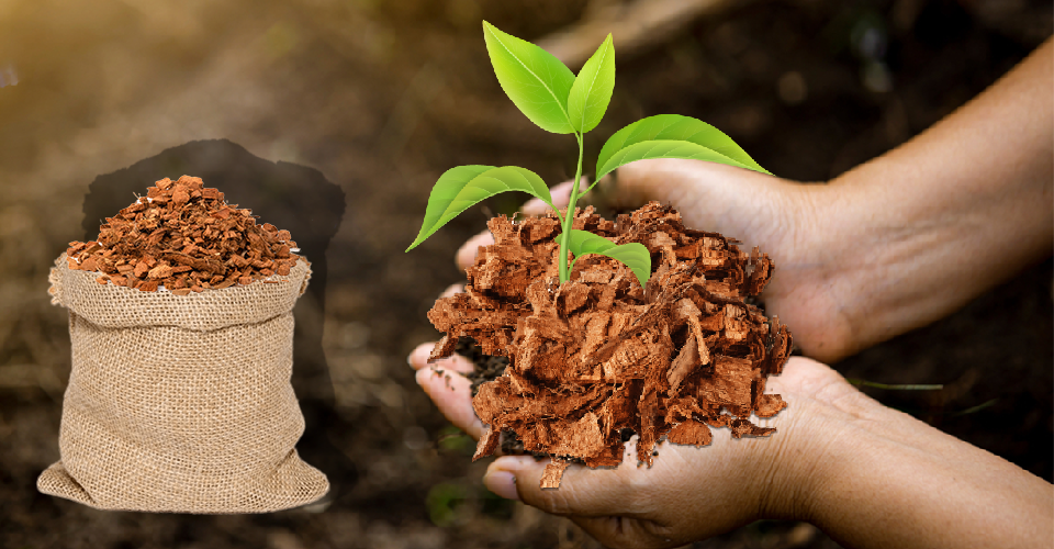 Coconut Husk Chips Exporters & Manufacturers in India