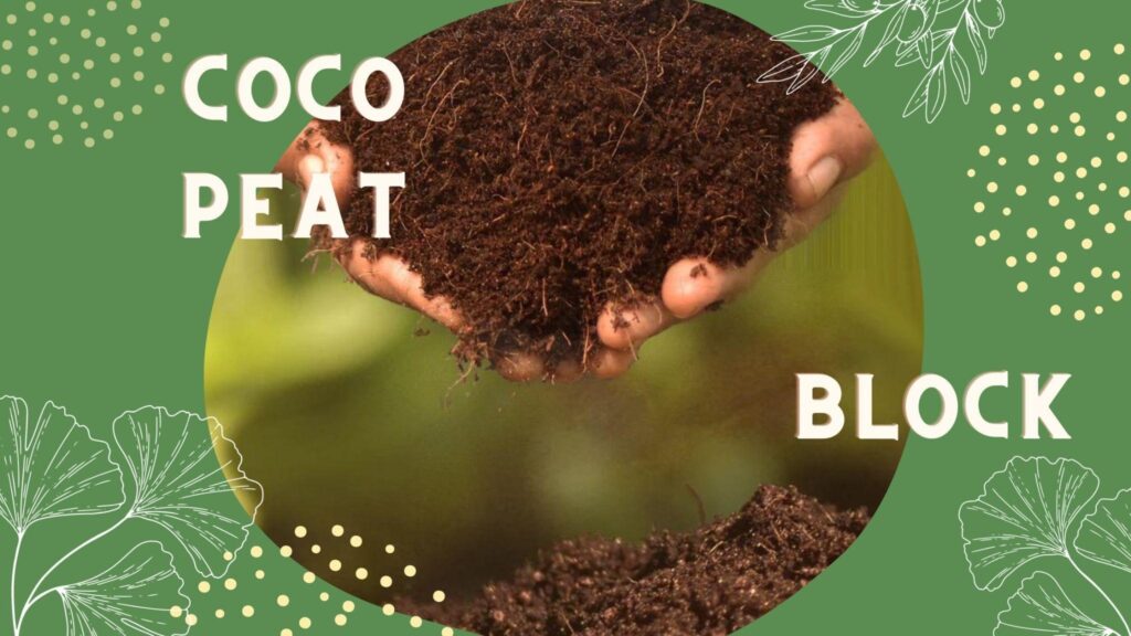 Coco Peat Block