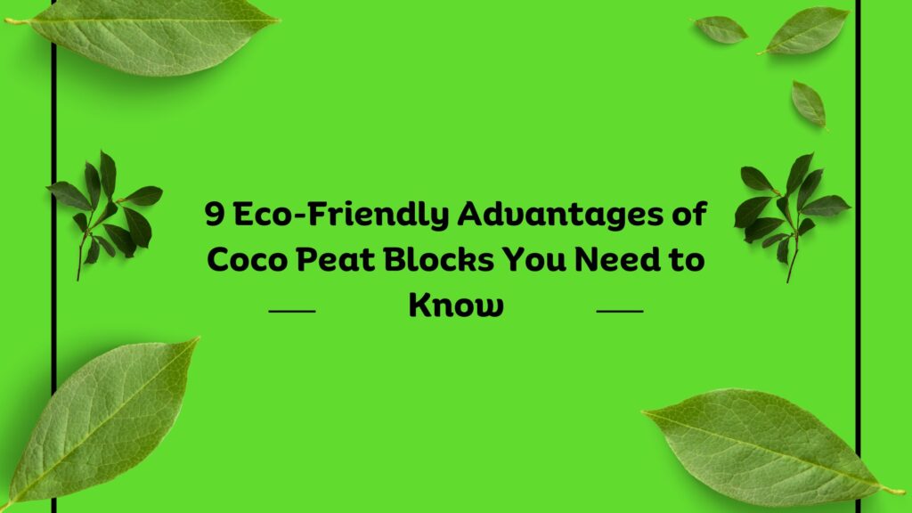 coco peat block