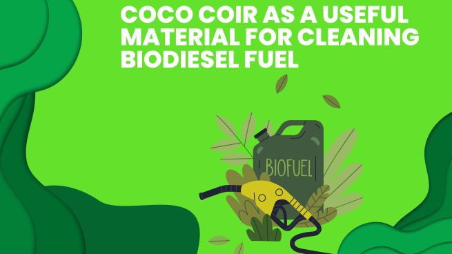 Coco Coir as a Useful Material for Cleaning Biodiesel Fuel